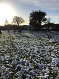 Fun in the Snow!