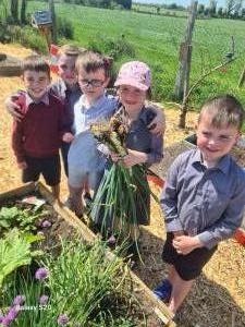 Garden Work