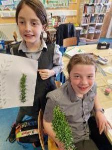 Artwork with a nice Scent!